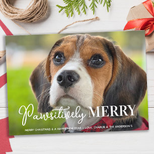 Tarjeta Festiva Mascota  Perro, Personalizado y Navidades de fotog