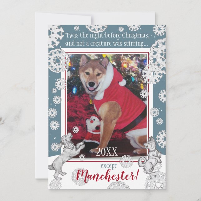 Tarjeta Festiva Mascota Perro Snowflake Divertido foto de Navidade (Anverso)