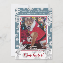 Tarjeta Festiva Mascota Perro Snowflake Divertido foto de Navidade