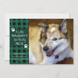 Tarjeta Festiva Mascota Perro Travieso y Bueno Plaid Verde y Negro