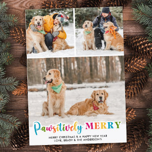 Tarjeta Festiva Mascota Personalizado colorido y patético Perro 3 
