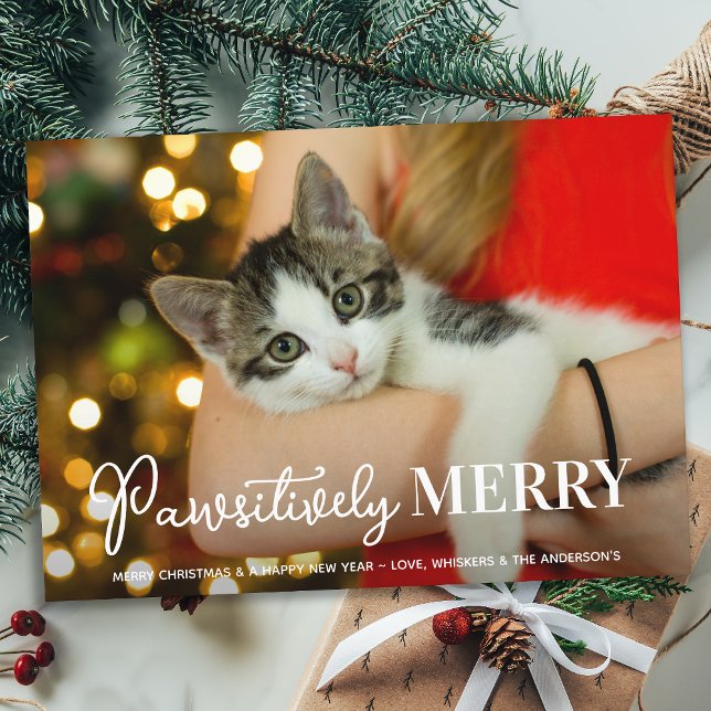 Tarjeta Festiva Mascota Personalizado Gato, curiosamente Merry, Na (Subido por el creador)