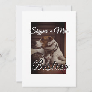 Tarjeta Festiva Mascotas amigos bestias agregar nombre mascota fot