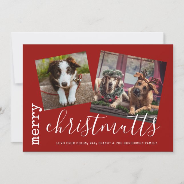 Tarjeta Festiva Mascotas de fotos de perros de Merry ChristMUTTS (Anverso)