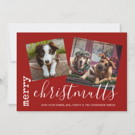 Tarjeta Festiva Mascotas de fotos de perros de Merry ChristMUTTS
