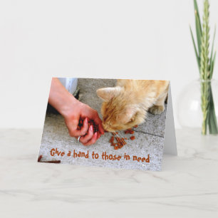 Tarjeta Festiva Mascotas de refugio en Hawái para gatos perdidos