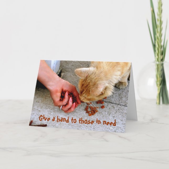 Tarjeta Festiva Mascotas de refugio en Hawái para gatos perdidos (Anverso)