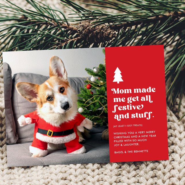 Tarjeta Festiva Mascotas festivos graciosos Navidades fotográficos (Subido por el creador)