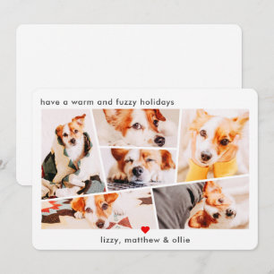 Tarjeta Festiva Mascotas Moderno Simple Personalizado 6 Imágenes C