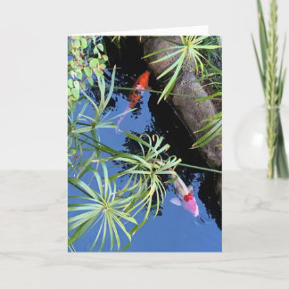 Tarjeta Festiva Maui Koi Pond Blank