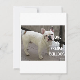 Tarjeta Festiva Me encanta mi Bulldog francés