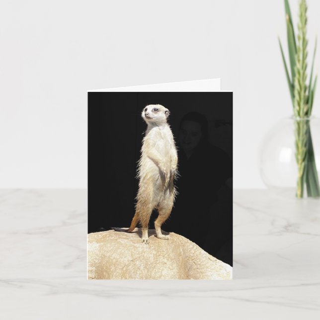 Tarjeta Festiva Meerkat Love (Anverso)