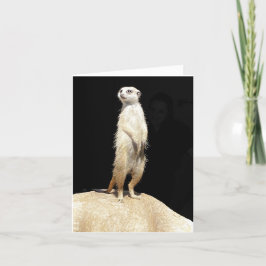 Tarjeta Festiva Meerkat Love