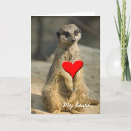 Tarjeta Festiva Meerkat, mi corazón…