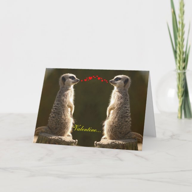 Tarjeta Festiva Meerkat Valentine Card 004 (Anverso)