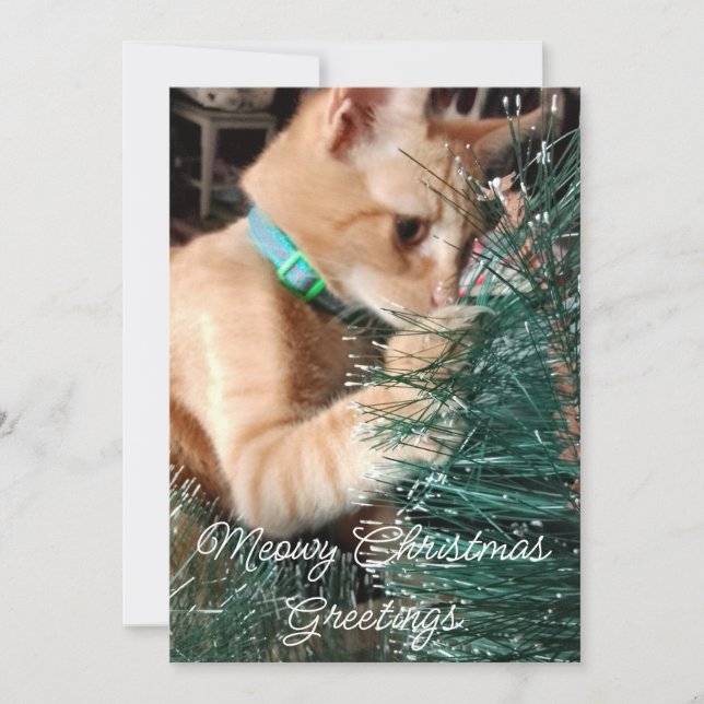 Tarjeta Festiva Meowowly Christmas Greetings , Cat, Photo And Text (Anverso)