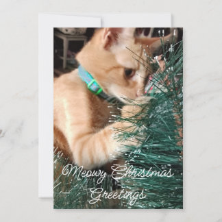 Tarjeta Festiva Meowowly Christmas Greetings , Cat, Photo And Text