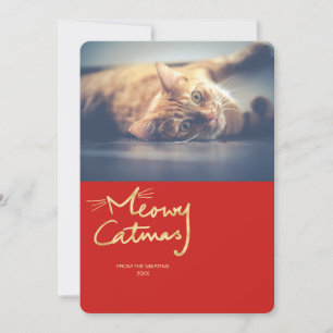 Tarjeta Festiva Meowy Catmas Gold Funny Cat Christmas Photo Card