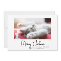 Meowy Christmas Greetings from Your Mascota Cat