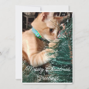 Tarjeta Festiva Meowy Christmas Greetings, Photo And Text, Persona