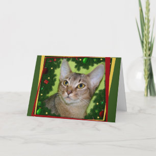 Tarjeta Festiva Meowy KissMouse