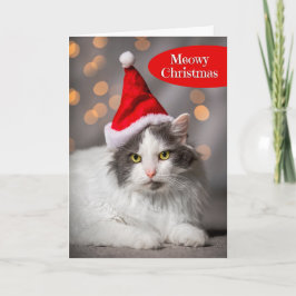 Tarjeta Festiva Meowy Merry Christmas para cualquiera que fuera fe
