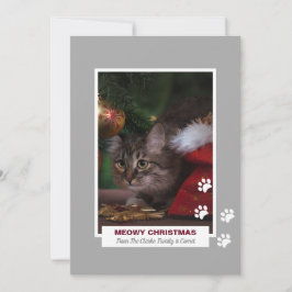 Tarjeta Festiva Meowy Navidades Gato Pinturas Blancas Imprime Foto