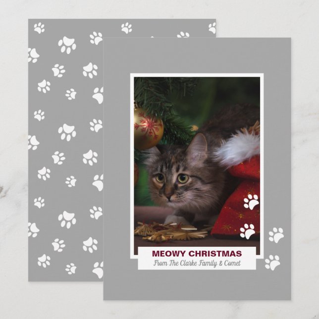 Tarjeta Festiva Meowy Navidades Gato Pinturas Blancas Imprime Foto (Anverso / Reverso)