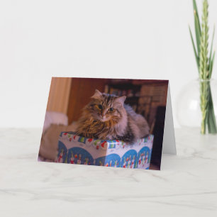 Tarjeta Festiva Meowy Navidades Kitty en una caja de regalo