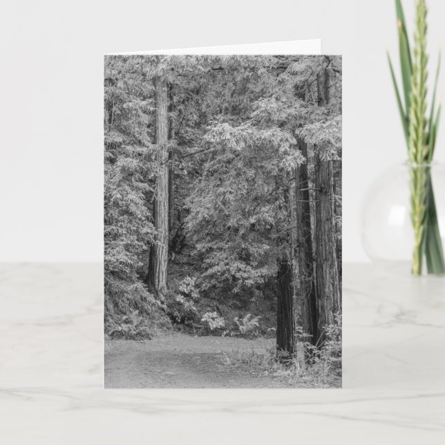 Tarjeta Festiva Merry Adventures (Anverso)