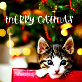 Tarjeta Festiva Merry Catmas Purrfect Christmas Card
