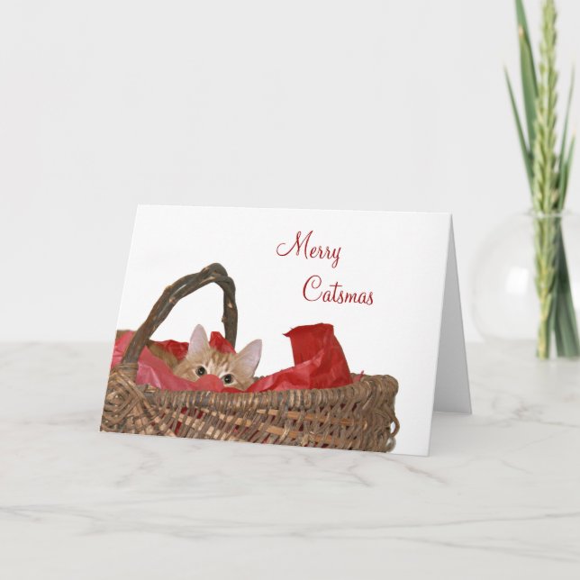 Tarjeta Festiva Merry Catsmas (Anverso)