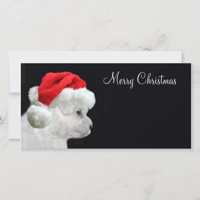 Tarjeta Festiva Merry Christmas Bichon Frise (Anverso)
