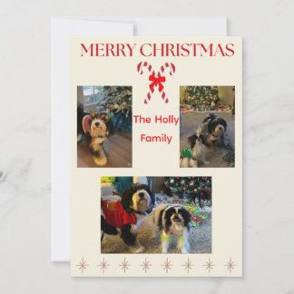 Tarjeta Festiva Merry Christmas Candy Cane and Twinkle Card