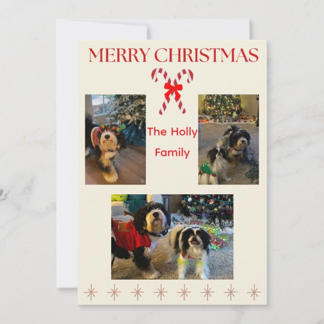 Tarjeta Festiva Merry Christmas Candy Cane and Twinkle Card (Anverso)