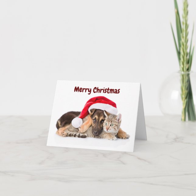 Tarjeta Festiva Merry Christmas Cat and Dog holiday card (Anverso)