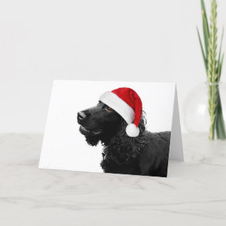 Tarjeta Festiva Merry Christmas Cocker