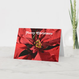 Tarjeta Festiva Merry Christmas Red Curly Poinsettia