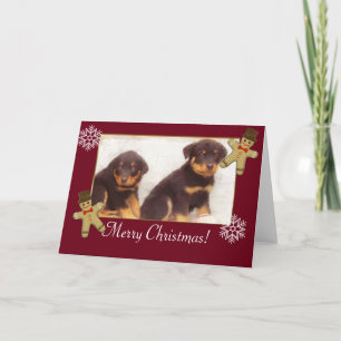Tarjeta Festiva Merry Christmas Rottweiler cachorros