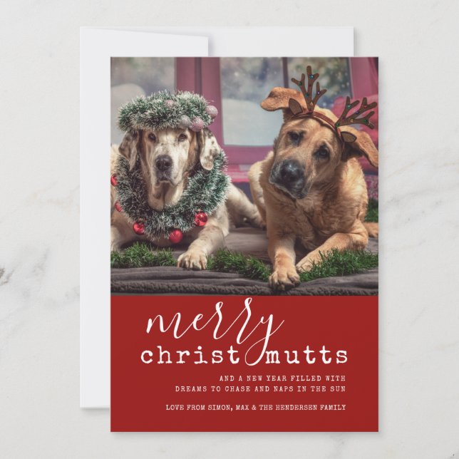 Tarjeta Festiva Merry ChristMUTTS Dog Photo Cute Simple (Anverso)