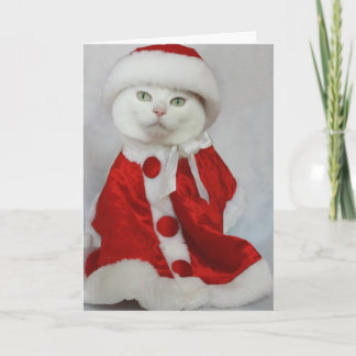 Tarjeta Festiva Merry Missy