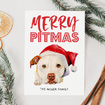 Tarjeta Festiva Merry Pitmas | Gracioso Bulldog Santa Pit<br><div class="desc">Adorable ilustracion acuarela de un blanco perro morrino americano con un sombrero de santa rojo. Dice "Feliz Pitmas" encima del perro. La parte posterior de la tarjeta tiene un patrón de manchas rojas y blancas. Una tarjeta perfecta para los amantes de los pitbulls y los propietarios para que puedan incluir...</div>