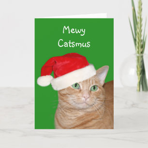 Tarjeta Festiva Mewy Catsmus