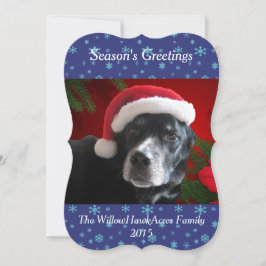 Tarjeta Festiva Mezcla Santa Dog-Lab/Rott con fondo Pointsettia