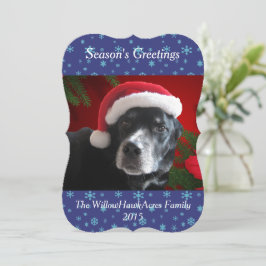 Tarjeta Festiva Mezcla Santa Dog-Lab/Rott con fondo Pointsettia
