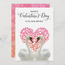Mi cisne y solamente San Valentín