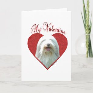 Tarjeta Festiva Mi Collie Valentine con barba