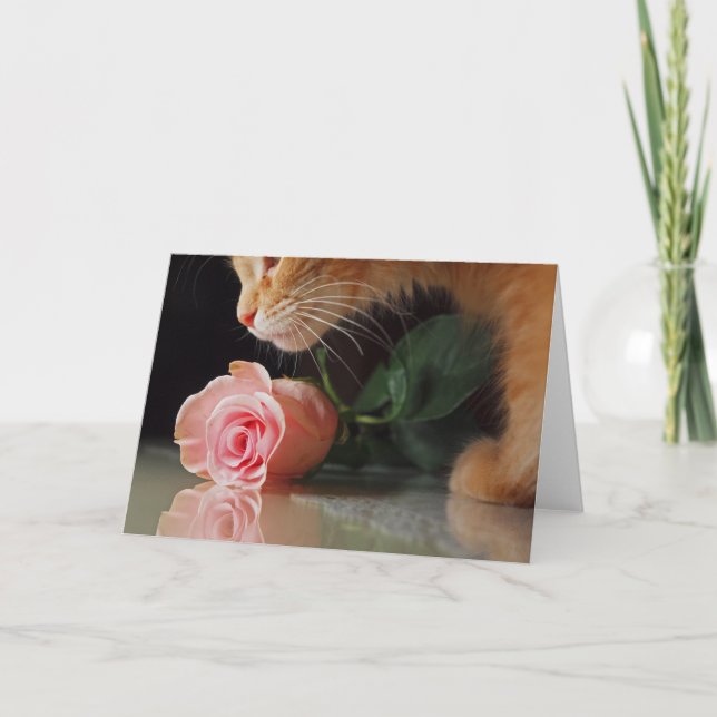 Tarjeta Festiva Mi divertido Valentine (Anverso)