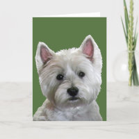 MI WESTIE PERFECTO