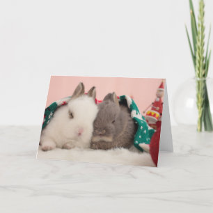 Tarjeta Festiva Mini conejos